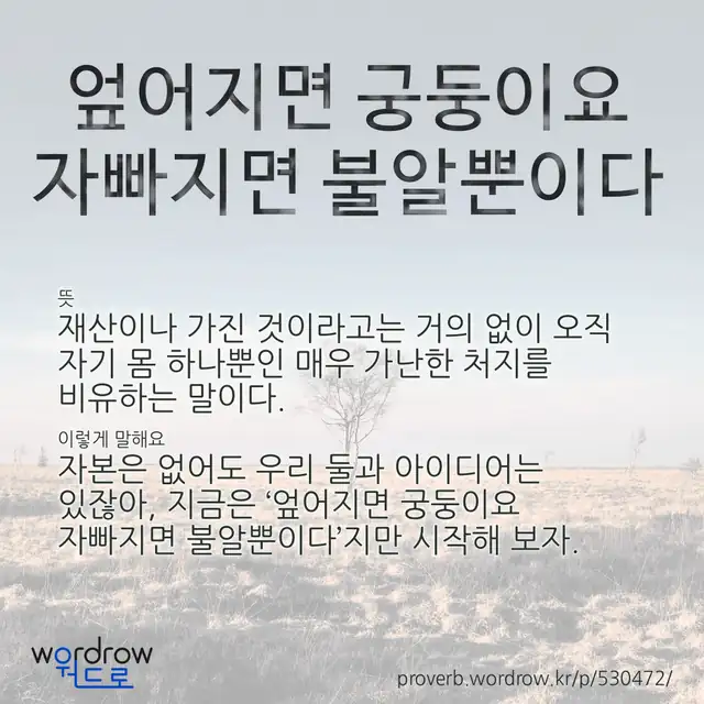 “엎어지면 궁둥이요 자빠지면 불알뿐이다” 글씨와 뜻·예문이 완성된 속담 영상 포스터