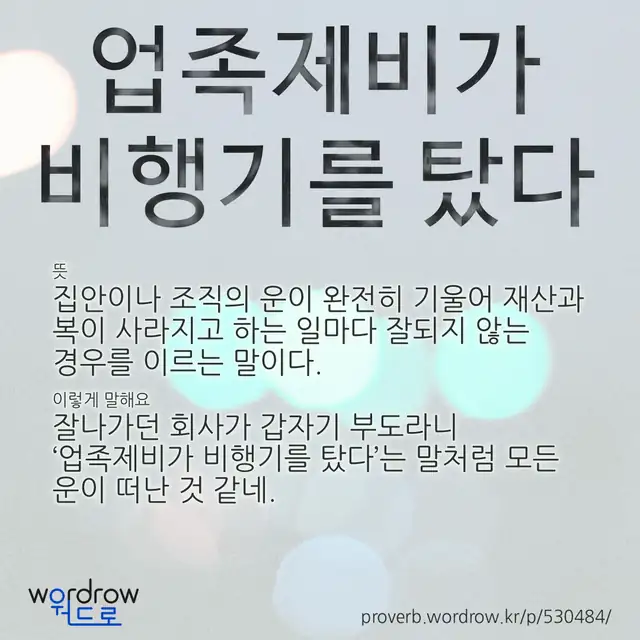 “업족제비가 비행기를 탔다” 글씨와 뜻·예문이 완성된 속담 영상 포스터
