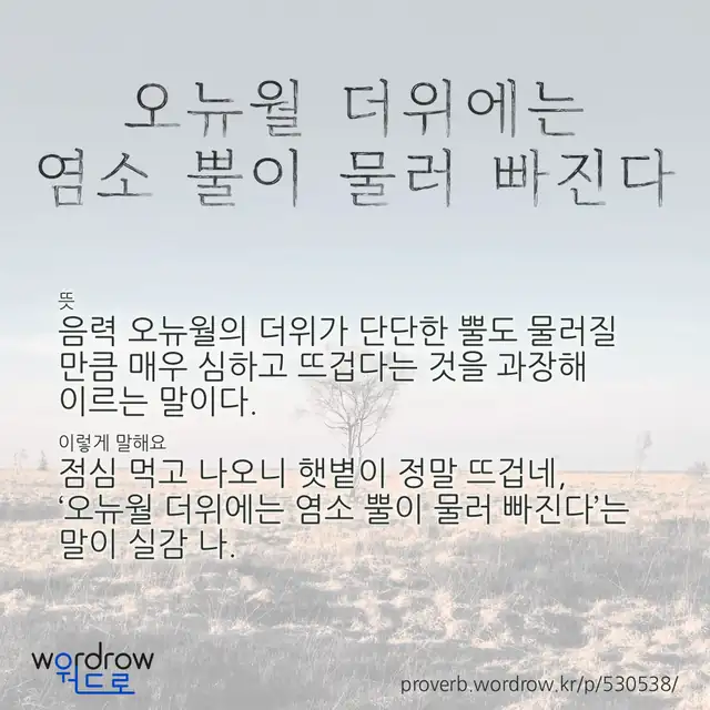 “오뉴월 더위에는 염소 뿔이 물러 빠진다” 글씨와 뜻·예문이 완성된 속담 영상 포스터