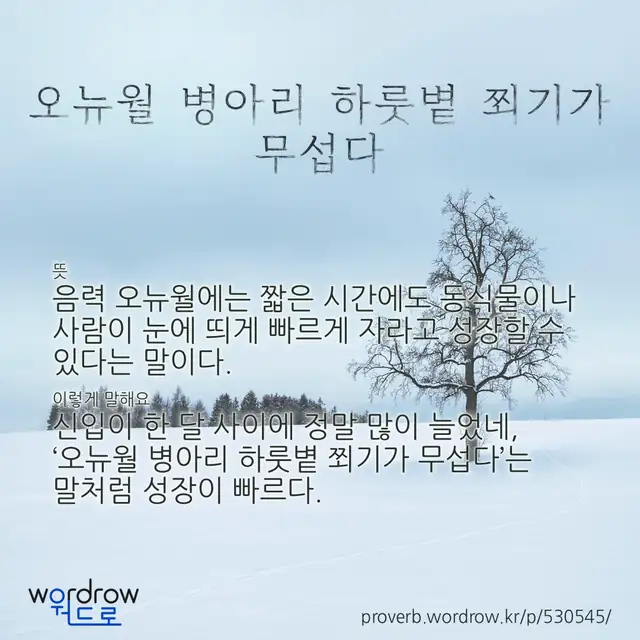 “오뉴월 병아리 하룻볕 쬐기가 무섭다” 글씨와 뜻·예문이 완성된 속담 영상 포스터