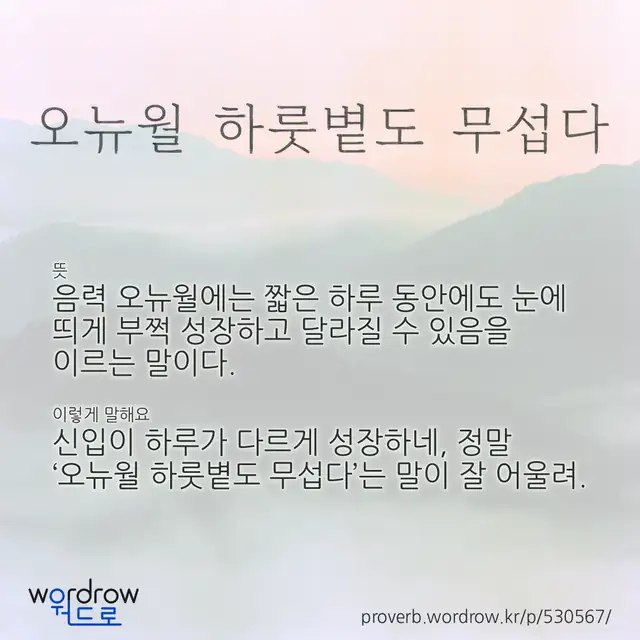 “오뉴월 하룻볕도 무섭다” 글씨와 뜻·예문이 완성된 속담 영상 포스터