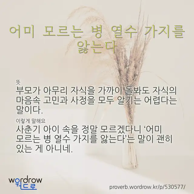 “어미 모르는 병 열수 가지를 앓는다” 글씨와 뜻·예문이 완성된 속담 영상 포스터