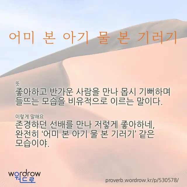 “어미 본 아기 물 본 기러기” 글씨와 뜻·예문이 완성된 속담 영상 포스터