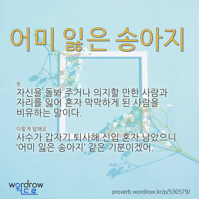 “어미 잃은 송아지” 글씨와 뜻·예문이 완성된 속담 영상 포스터