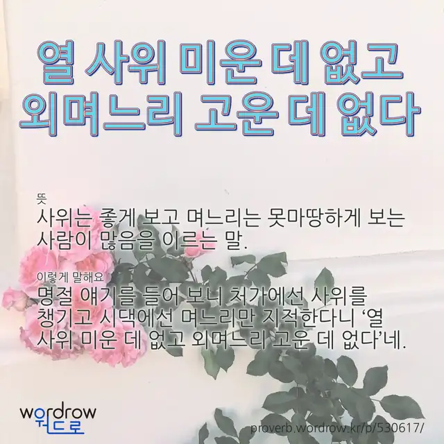 “열 사위 미운 데 없고 외며느리 고운 데 없다” 글씨와 뜻·예문이 완성된 속담 영상 포스터