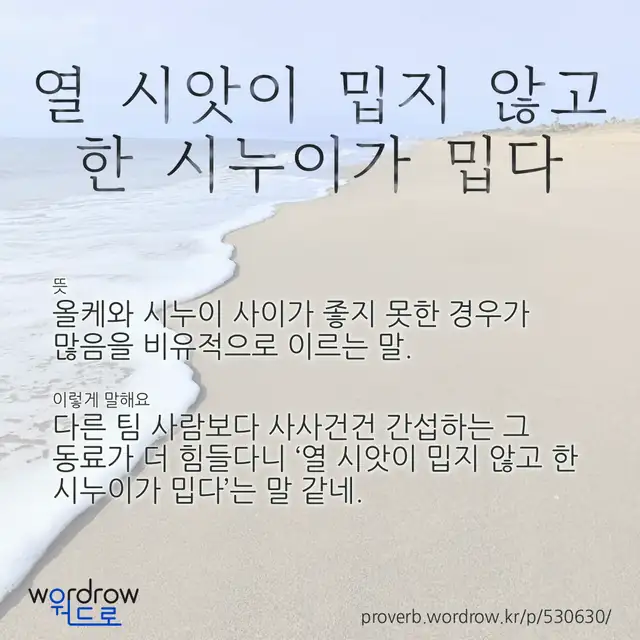 “열 시앗이 밉지 않고 한 시누이가 밉다” 글씨와 뜻·예문이 완성된 속담 영상 포스터