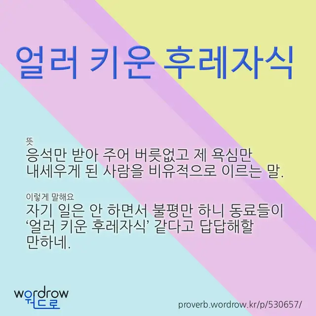 “얼러 키운 후레자식” 글씨와 뜻·예문이 완성된 속담 영상 포스터