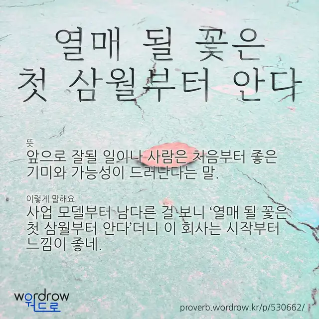 “열매 될 꽃은 첫 삼월부터 안다” 글씨와 뜻·예문이 완성된 속담 영상 포스터