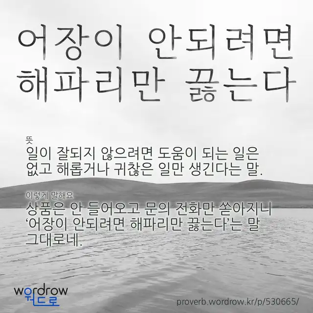 “어장이 안되려면 해파리만 끓는다” 글씨와 뜻·예문이 완성된 속담 영상 포스터