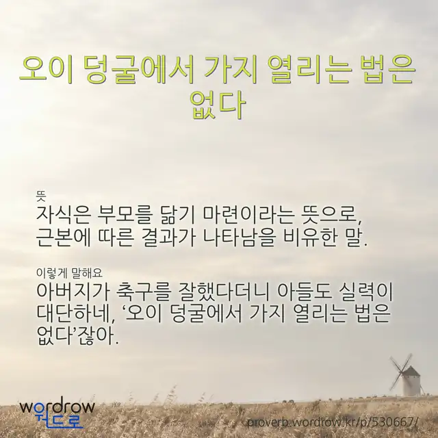 “오이 덩굴에서 가지 열리는 법은 없다” 글씨와 뜻·예문이 완성된 속담 영상 포스터