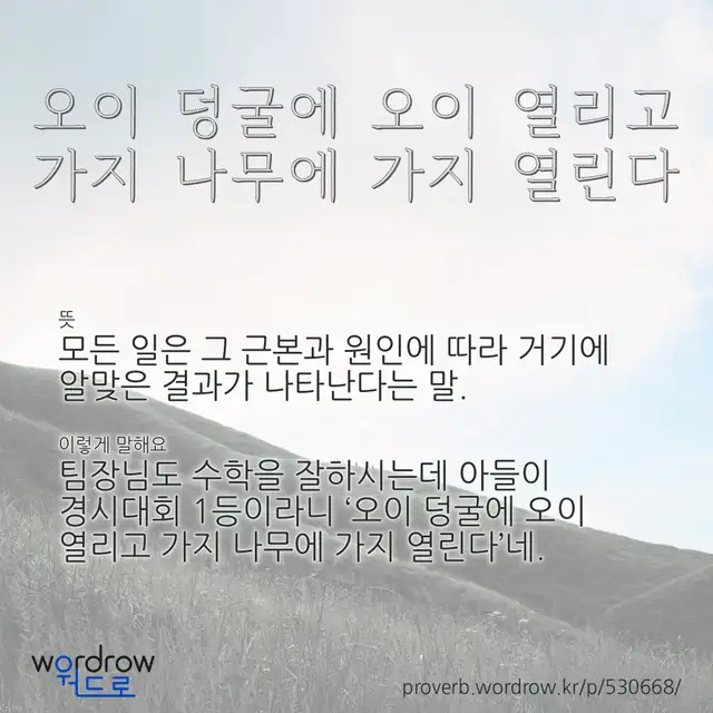 “오이 덩굴에 오이 열리고 가지 나무에 가지 열린다” 글씨와 뜻·예문이 완성된 속담 영상 포스터