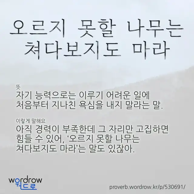 “오르지 못할 나무는 쳐다보지도 마라” 글씨와 뜻·예문이 완성된 속담 영상 포스터