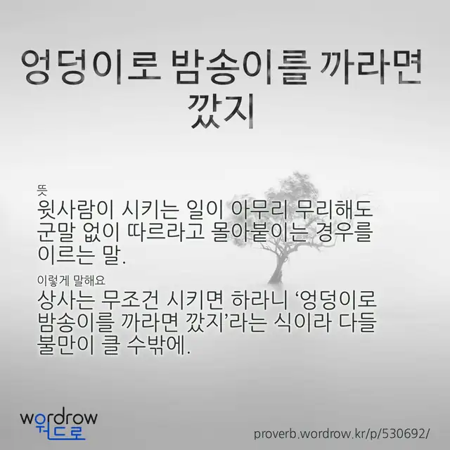 “엉덩이로 밤송이를 까라면 깠지” 글씨와 뜻·예문이 완성된 속담 영상 포스터