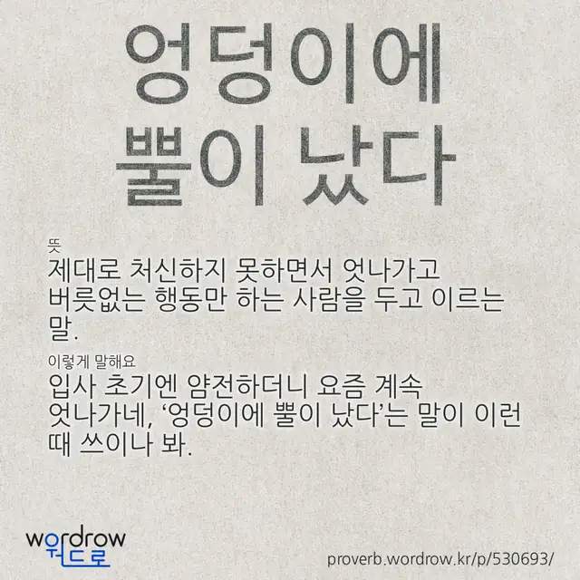“엉덩이에 뿔이 났다” 글씨와 뜻·예문이 완성된 속담 영상 포스터