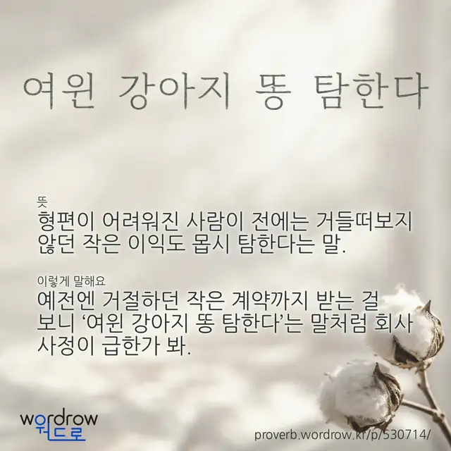 “여윈 강아지 똥 탐한다” 글씨와 뜻·예문이 완성된 속담 영상 포스터