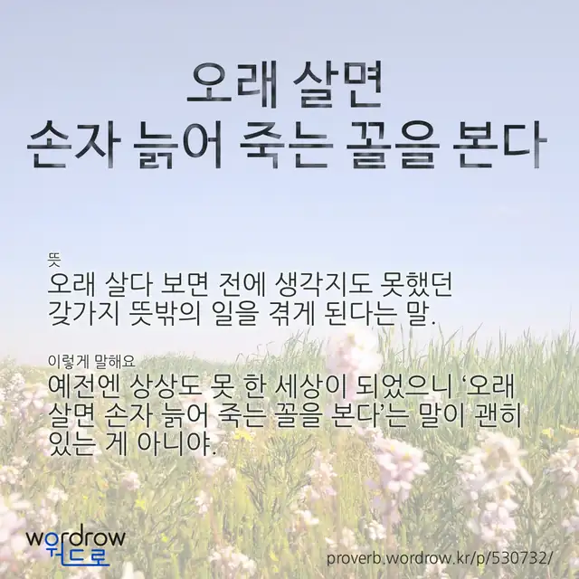 “오래 살면 손자 늙어 죽는 꼴을 본다” 글씨와 뜻·예문이 완성된 속담 영상 포스터