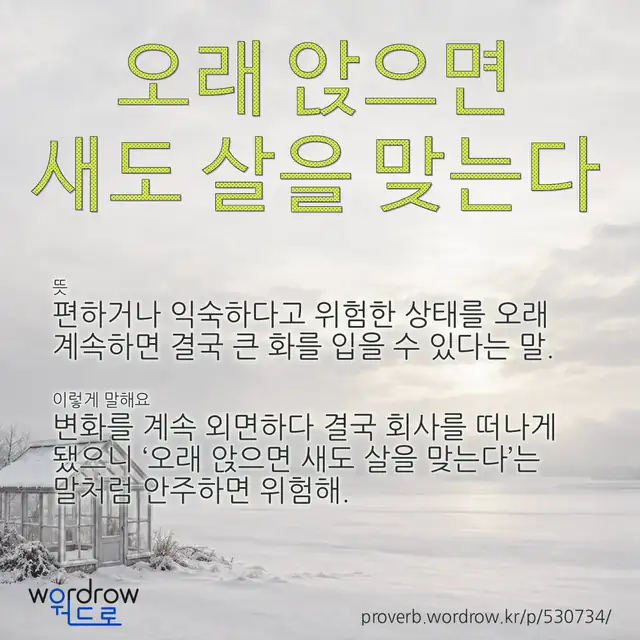 “오래 앉으면 새도 살을 맞는다” 글씨와 뜻·예문이 완성된 속담 영상 포스터