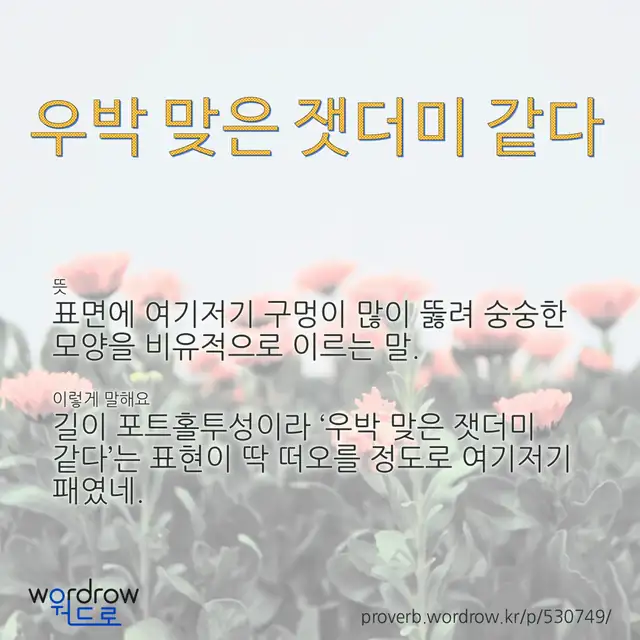 “우박 맞은 잿더미 같다” 글씨와 뜻·예문이 완성된 속담 영상 포스터