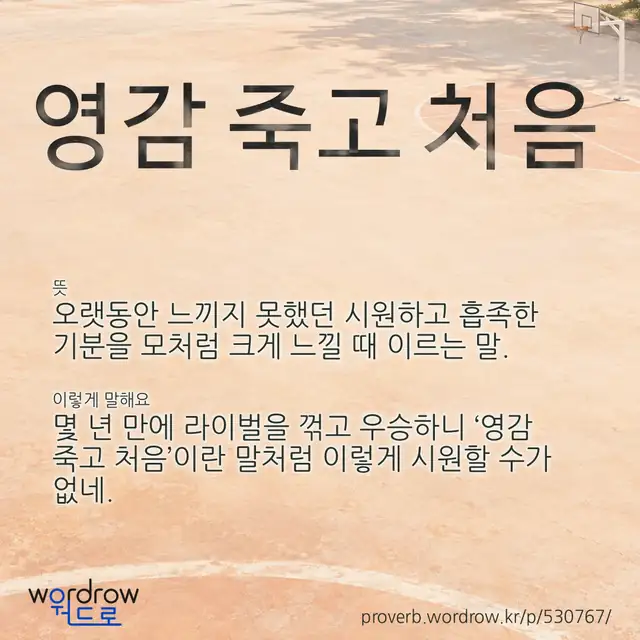 “영감 죽고 처음” 글씨와 뜻·예문이 완성된 속담 영상 포스터