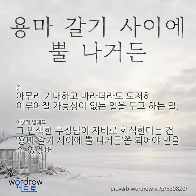 “용마 갈기 사이에 뿔 나거든” 글씨와 뜻·예문이 완성된 속담 영상 포스터