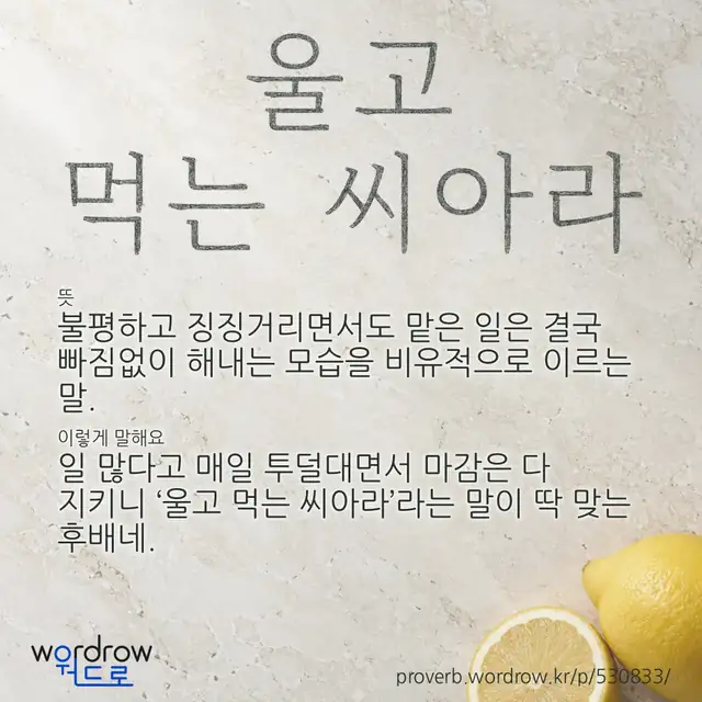 “울고 먹는 씨아라” 글씨와 뜻·예문이 완성된 속담 영상 포스터