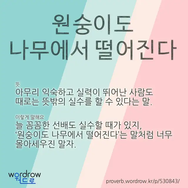 “원숭이도 나무에서 떨어진다” 글씨와 뜻·예문이 완성된 속담 영상 포스터