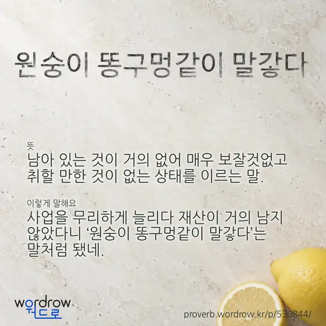 “원숭이 똥구멍같이 말갛다” 글씨와 뜻·예문이 완성된 속담 영상 포스터