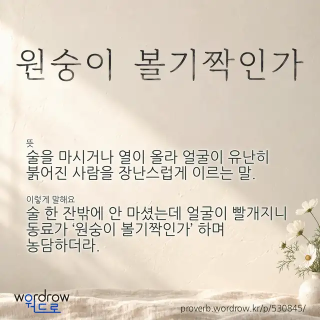 “원숭이 볼기짝인가” 글씨와 뜻·예문이 완성된 속담 영상 포스터
