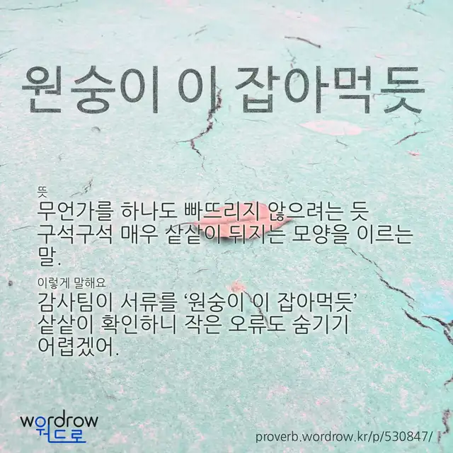 “원숭이 이 잡아먹듯” 글씨와 뜻·예문이 완성된 속담 영상 포스터