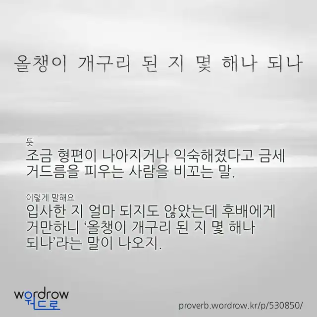 “올챙이 개구리 된 지 몇 해나 되나” 글씨와 뜻·예문이 완성된 속담 영상 포스터