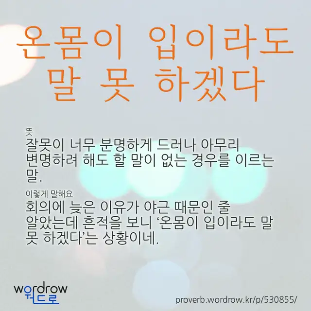 “온몸이 입이라도 말 못 하겠다” 글씨와 뜻·예문이 완성된 속담 영상 포스터