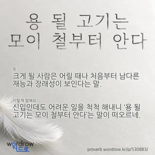 “용 될 고기는 모이 철부터 안다” 글씨와 뜻·예문이 완성된 속담 영상 포스터