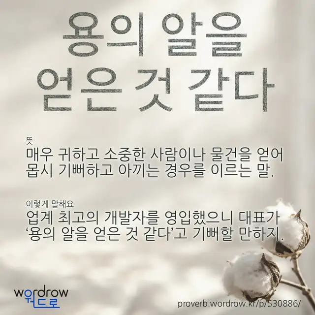 “용의 알을 얻은 것 같다” 글씨와 뜻·예문이 완성된 속담 영상 포스터