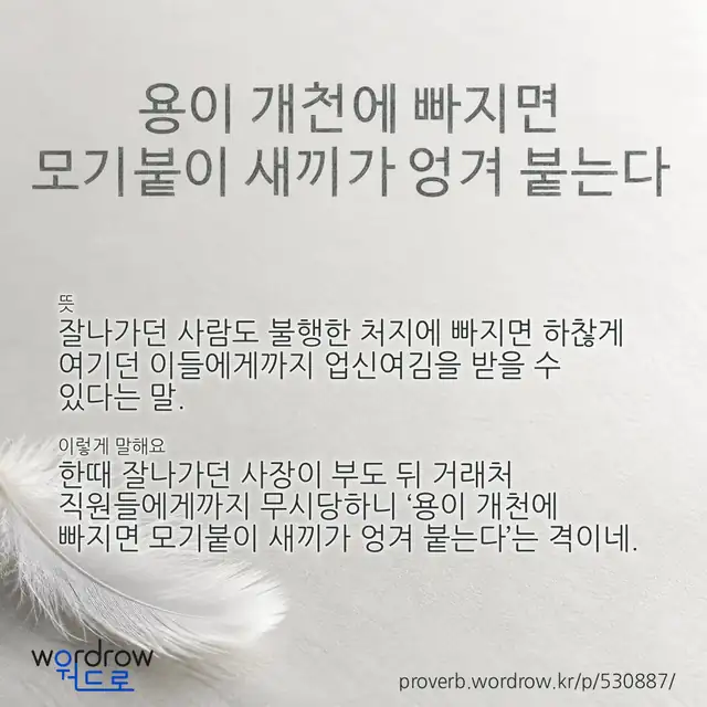 “용이 개천에 빠지면 모기붙이 새끼가 엉겨 붙는다” 글씨와 뜻·예문이 완성된 속담 영상 포스터