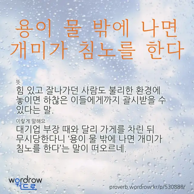 “용이 물 밖에 나면 개미가 침노를 한다” 글씨와 뜻·예문이 완성된 속담 영상 포스터