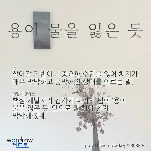 “용이 물을 잃은 듯” 글씨와 뜻·예문이 완성된 속담 영상 포스터