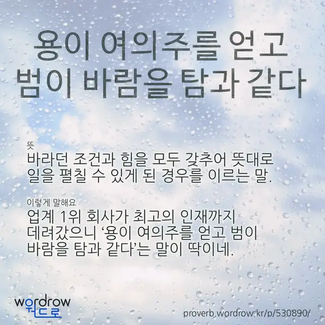“용이 여의주를 얻고 범이 바람을 탐과 같다” 글씨와 뜻·예문이 완성된 속담 영상 포스터