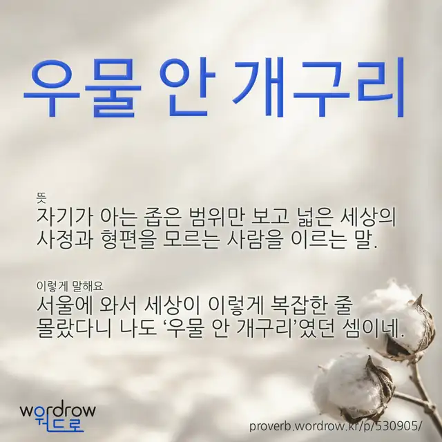 “우물 안 개구리” 글씨와 뜻·예문이 완성된 속담 영상 포스터
