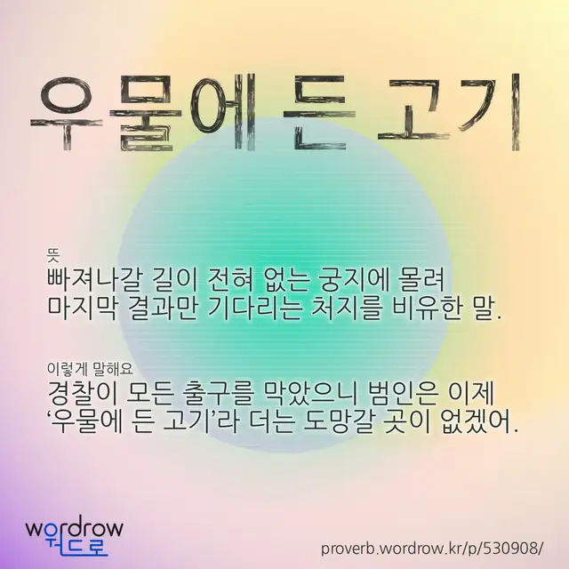 “우물에 든 고기” 글씨와 뜻·예문이 완성된 속담 영상 포스터
