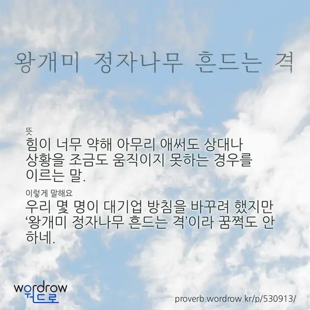 “왕개미 정자나무 흔드는 격” 글씨와 뜻·예문이 완성된 속담 영상 포스터