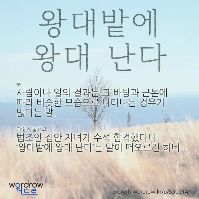 “왕대밭에 왕대 난다” 글씨와 뜻·예문이 완성된 속담 영상 포스터