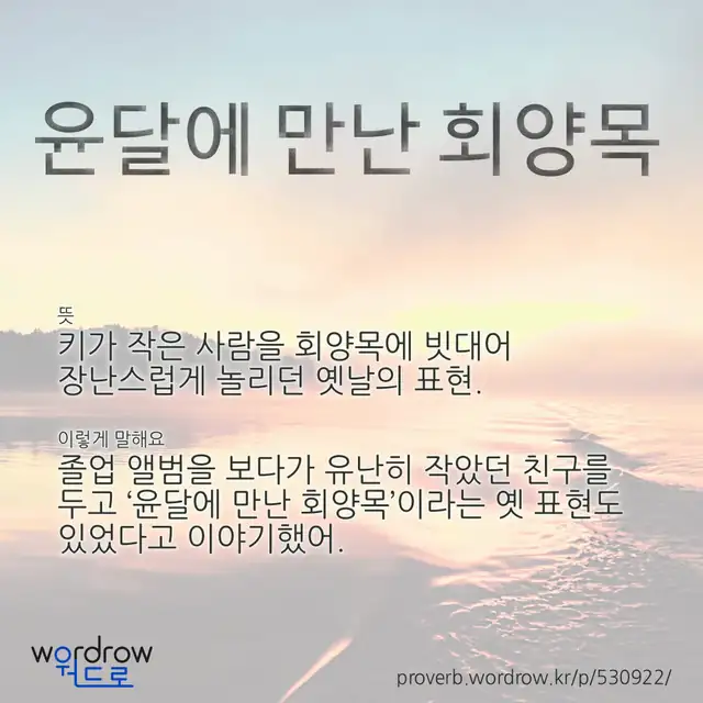 “윤달에 만난 회양목” 글씨와 뜻·예문이 완성된 속담 영상 포스터