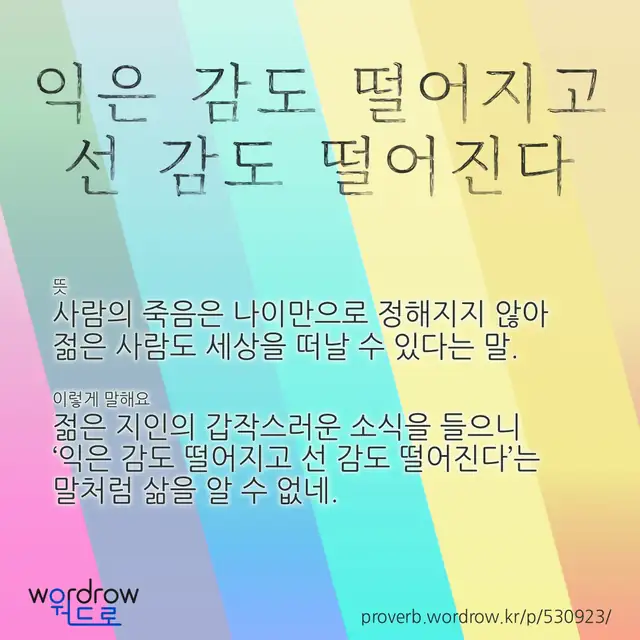 “익은 감도 떨어지고 선 감도 떨어진다” 글씨와 뜻·예문이 완성된 속담 영상 포스터