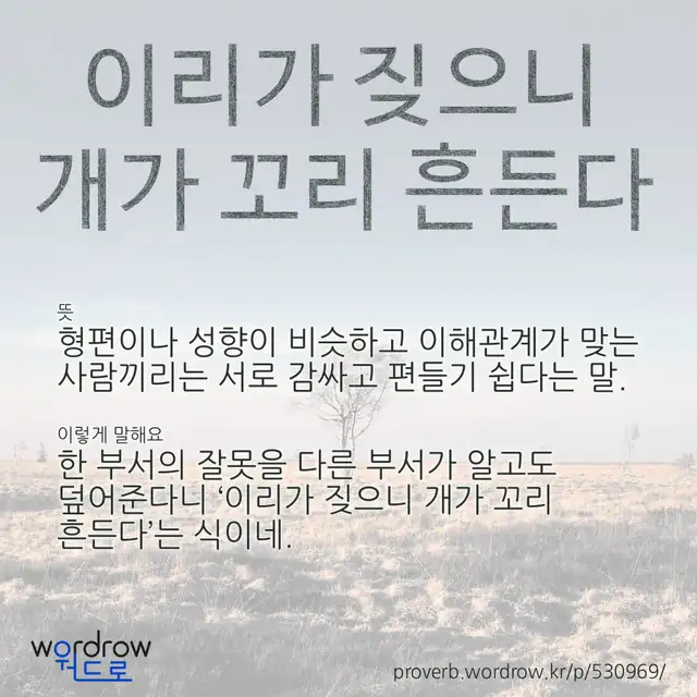 “이리가 짖으니 개가 꼬리 흔든다” 글씨와 뜻·예문이 완성된 속담 영상 포스터