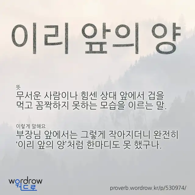 “이리 앞의 양” 글씨와 뜻·예문이 완성된 속담 영상 포스터