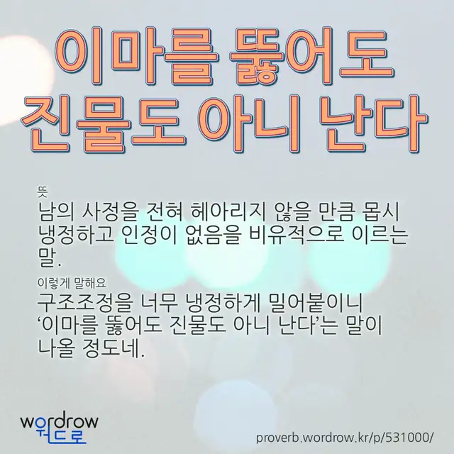 “이마를 뚫어도 진물도 아니 난다” 글씨와 뜻·예문이 완성된 속담 영상 포스터