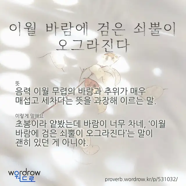 “이월 바람에 검은 쇠뿔이 오그라진다” 글씨와 뜻·예문이 완성된 속담 영상 포스터