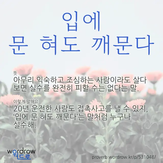 “입에 문 혀도 깨문다” 글씨와 뜻·예문이 완성된 속담 영상 포스터