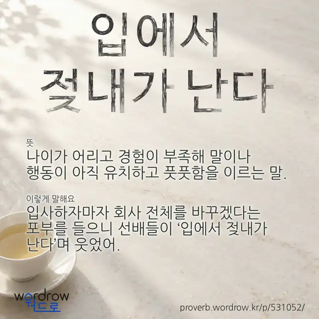 “입에서 젖내가 난다” 글씨와 뜻·예문이 완성된 속담 영상 포스터