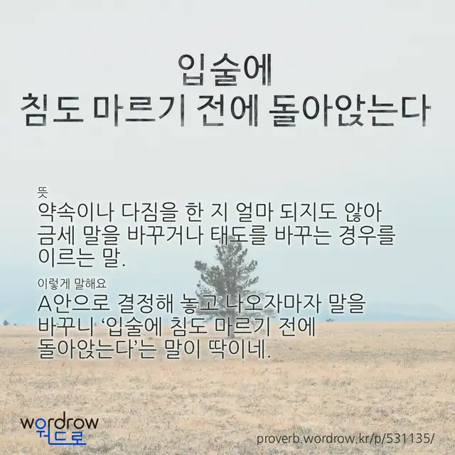“입술에 침도 마르기 전에 돌아앉는다” 글씨와 뜻·예문이 완성된 속담 영상 포스터
